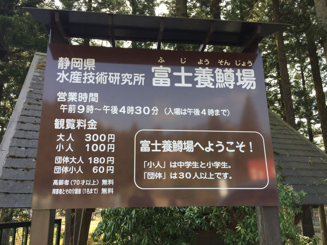 【静岡・富士宮】富士養鱒場🎣