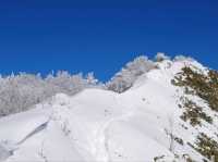 美しすぎる冬の山