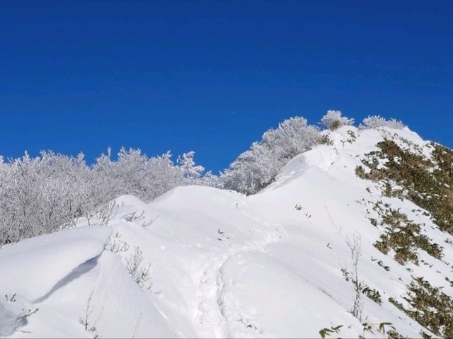 美しすぎる冬の山