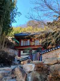부산의 숨겨진 산속 사찰🌿🏯