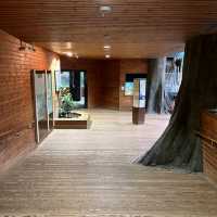 Tennoji Zoo (天王寺動物園) – A Relaxing Family-Friendly Attraction