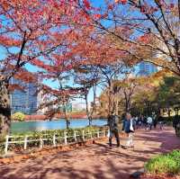 Seokchon Lake (石村湖公園)