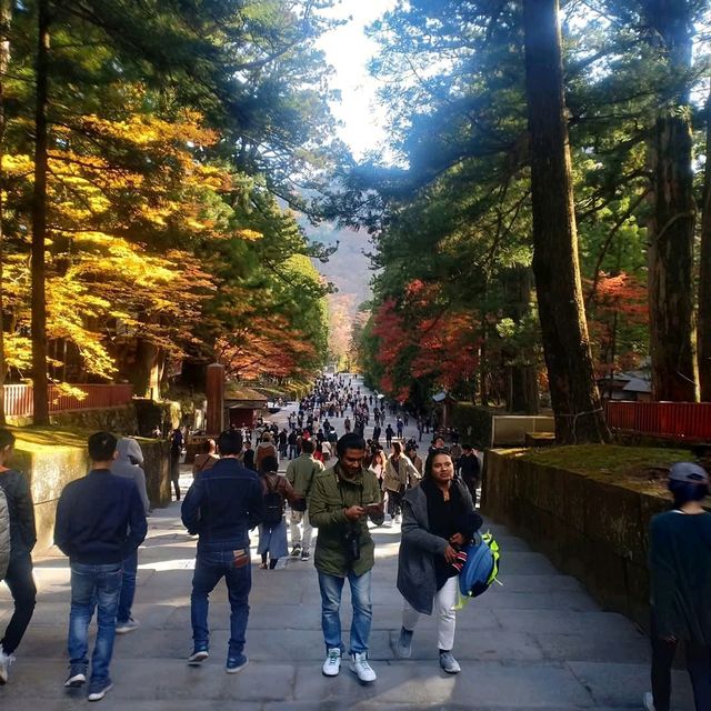 ศาลเจ้านิกโก้โทโชกุ (Toshogu Shrine)