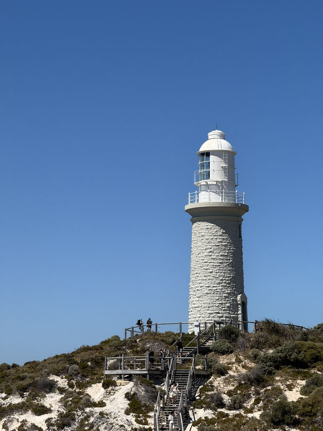 A Day at Pinky Beach, Rottnest Island