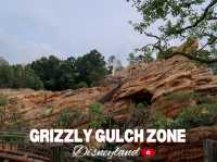 🤠🐻 Grizzly Gulch 