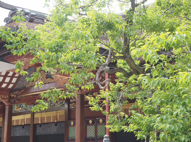 【福岡県】福岡の学業の神はここ📚