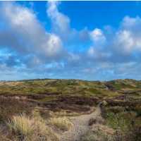 Dunes of Texel National Park