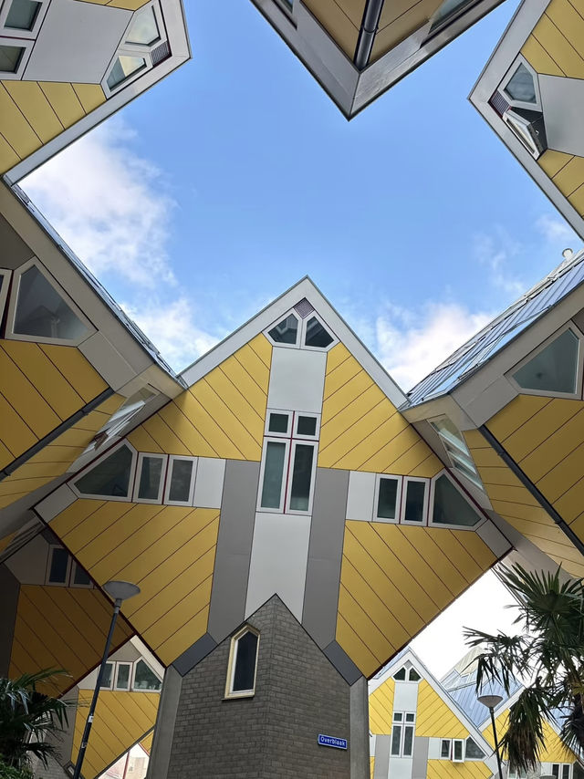 A Striking Architectural Journey Through Rotterdam 