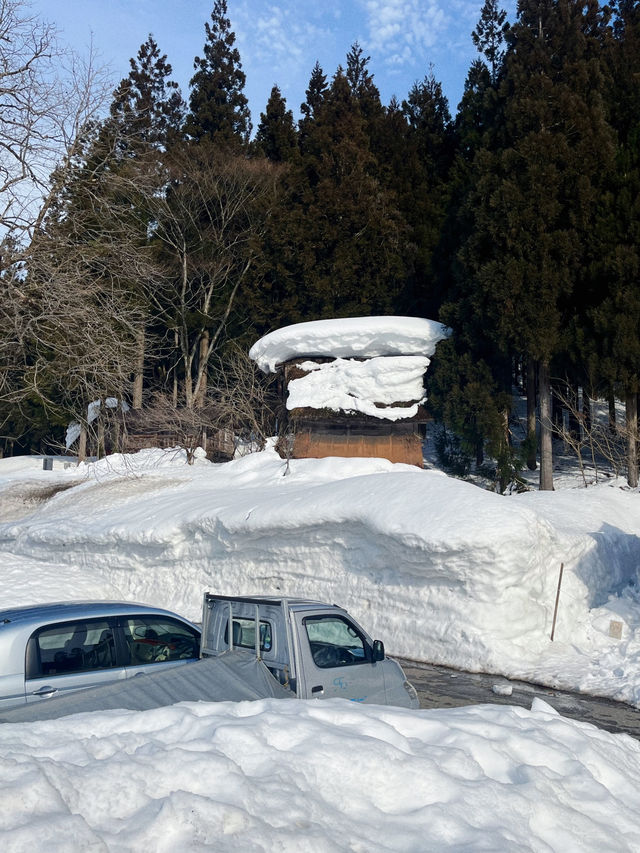 인생에서 꼭 한번 가봐야 할 겨울 여행지❄️