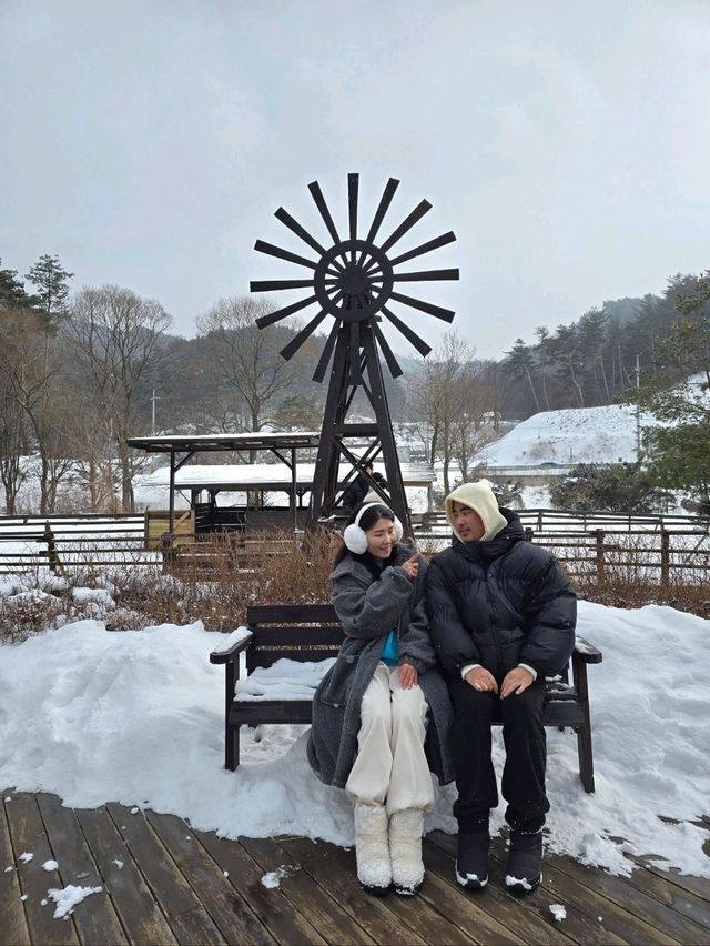 이국적 감성 프렌치가든의 설경이 아름다운곳💜