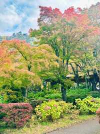 【日本山梨】河口湖美景、天上山下紅葉