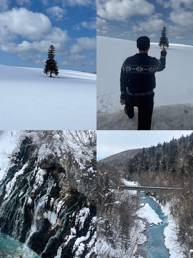 낭만적인 겨울 비에이에서의 1박2일 여행❄️