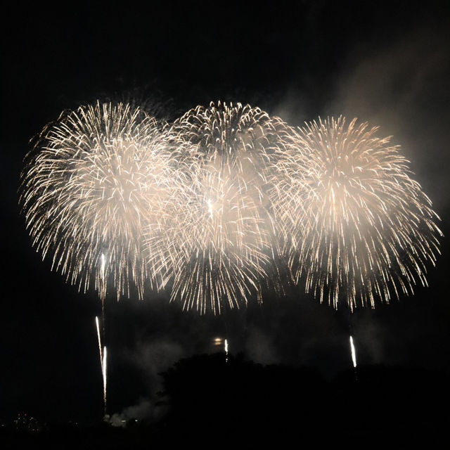 感動の『長岡花火大会』