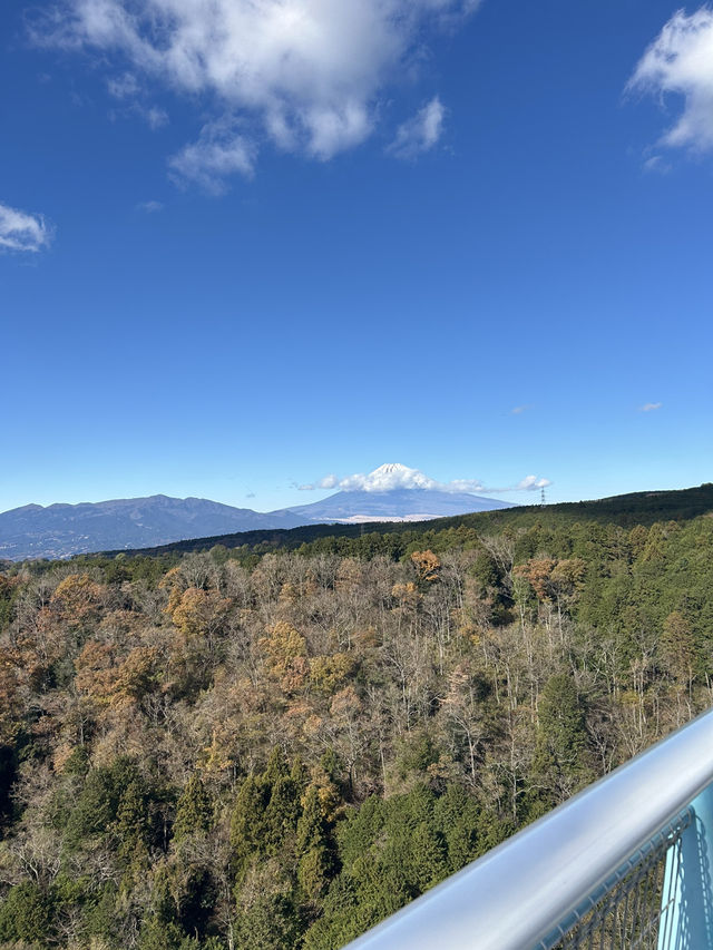 三島スカイウォーク