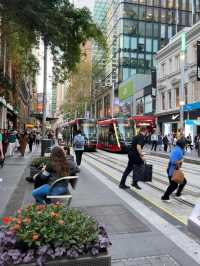 "Sydney: The Iconic Harbour City of Australia"