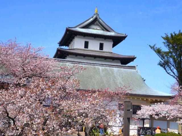 【北海道】函館屈指の桜の名所「松前福山城」跡