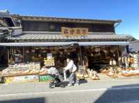 One day trip จุดท่องเที่ยวแถวนาริตะ 