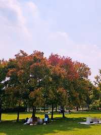 Muljeongwon Flower Festival Review – Namyangju