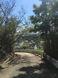 高松旅行 ✈  일본의 소도시 고양이섬 男木島 🏝️