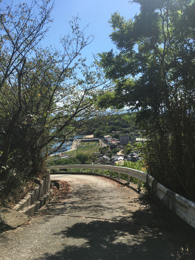 高松旅行 ✈  일본의 소도시 고양이섬 男木島 🏝️