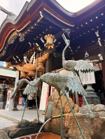 福岡|延年益壽鶴靈泉、千年銀杏 奈良時代至今博多總鎮守櫛田神社