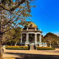 【鶴舞公園】四季を楽しむ！ 桜もバラも絶景の名所