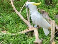 家族で楽しむ都心のリフレッシュポイント – 上野動物園で癒しのひととき