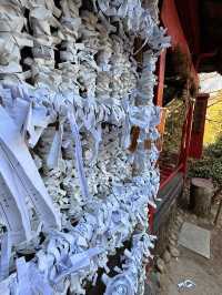 尾道｜到貓之細道小路探險 貓神社、貓咖啡像瀨戶內藝術節般的老街體驗