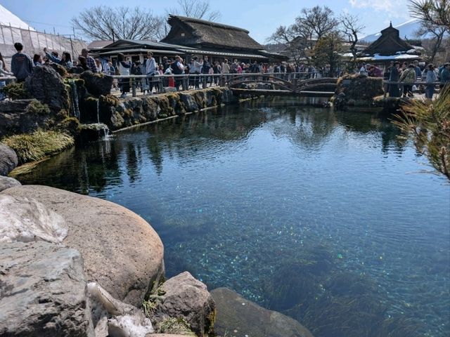 History of the trip to Kawaguchiko (23.03.25)