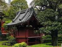 วัด Asakusa ยามเช้า บรรยากาศเงียบสงบ ชิลๆ สบายๆ