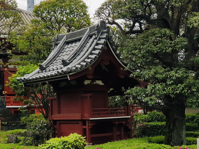 วัด Asakusa ยามเช้า บรรยากาศเงียบสงบ ชิลๆ สบายๆ