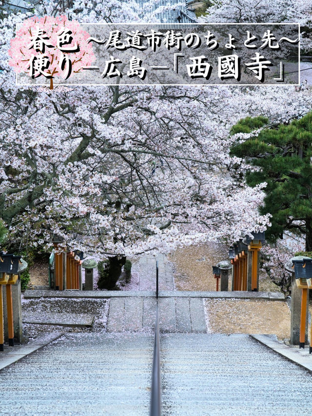 【広島】行かなきゃ損‼️尾道行ったらここまで行こう！