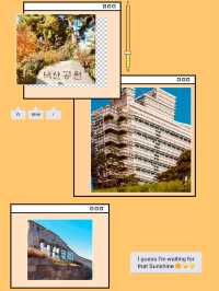Spring's Hilltop Haven: Naksan's Serene Escape