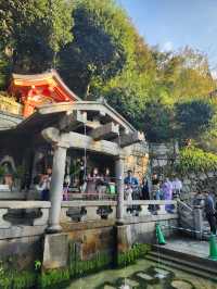 Dressed in Tradition: Exploring Kyoto's Timeless Charm✨