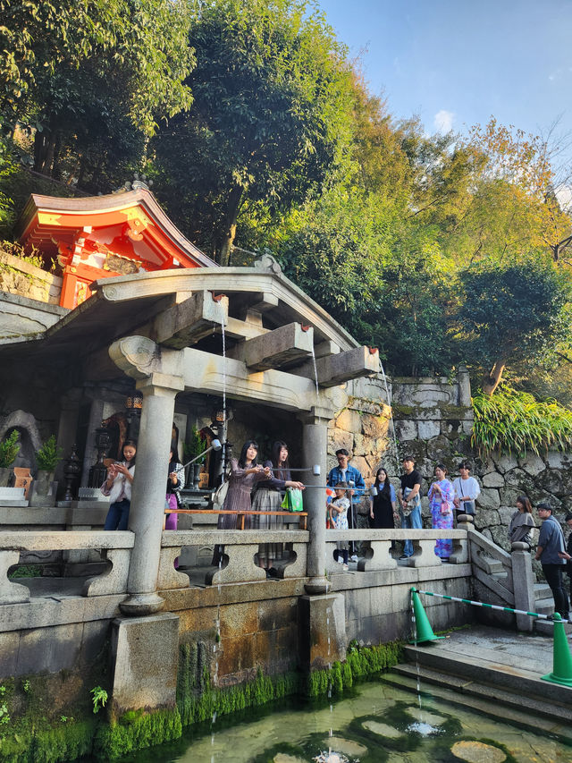 Dressed in Tradition: Exploring Kyoto's Timeless Charm✨