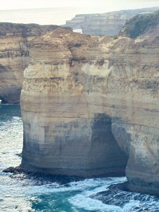 【Great Ocean Road in Melbourne Day 2】