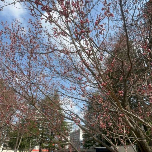 錦町公園