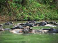 Vang Vieng เสน่ห์เมืองลาว