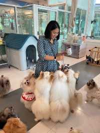 พัทยาที่พักดี ที่เที่ยวเยอะ