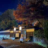 Hikone Castle: Where Autumn Nights Sparkle✨