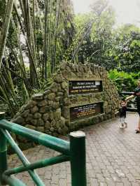 Soak, Splash & Stroll – A Nature Retreat at Poring Hot Spring!