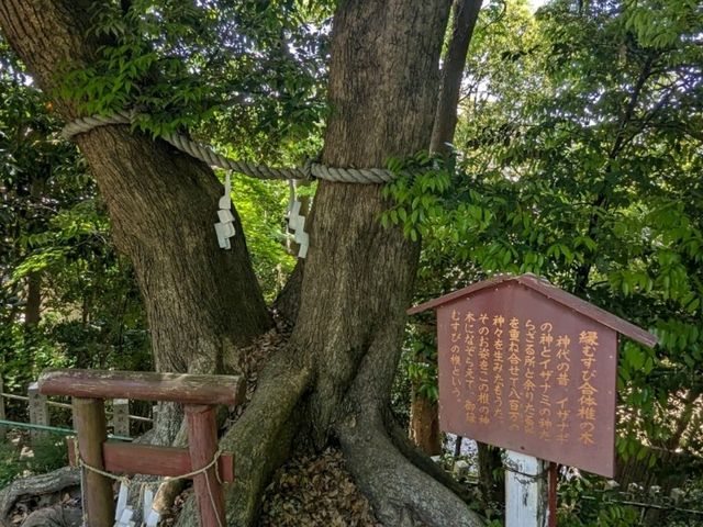 【千葉】日本一の男根像をお祀りする魂生大明神