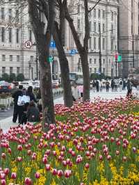 The Bund, เซี่ยงไฮ้ จีน