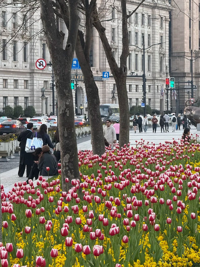The Bund, เซี่ยงไฮ้ จีน