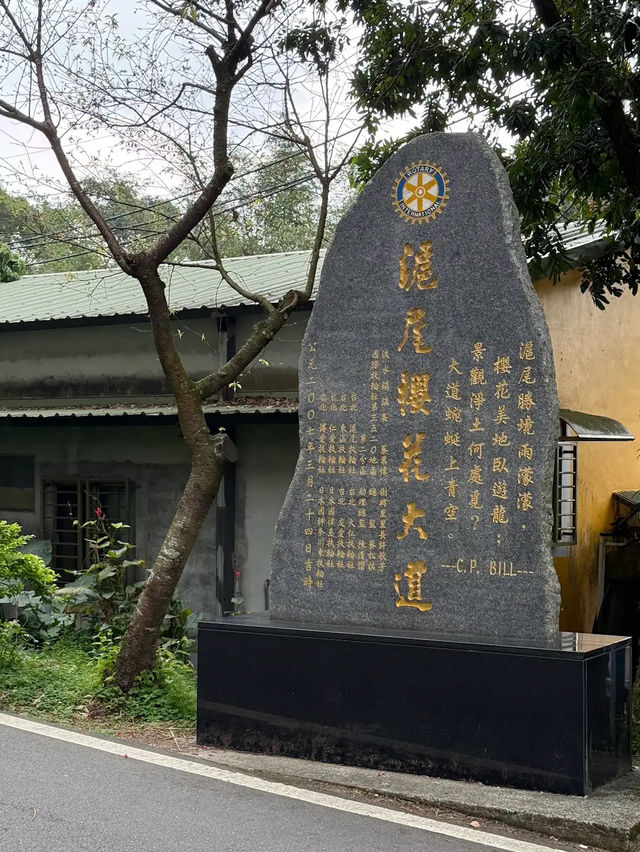 🌸** 台北滬尾櫻花大道是春季賞櫻**🌸