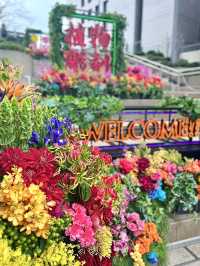 Blooming Flowers at Hibiya Midtown! 🌸🌷