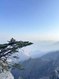 미쳤다…대둔산 풍경 실화냐