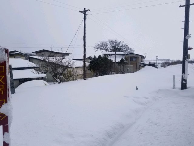 [🇯🇵青森] 金木町で出会う幻想的な冬景色