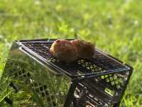 牧田川でタープを張ってBBQ！自然の中で楽しむアウトドア体験🍖🌳