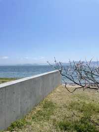 瀨戶內海 直島